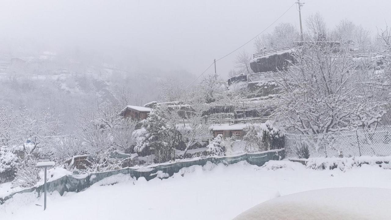 Casa Ramus Valle Camonica A 30 Km Dal Passo Tonale Edolo Ngoại thất bức ảnh